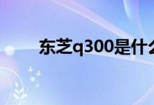 东芝q300是什么颗粒（东芝q300）