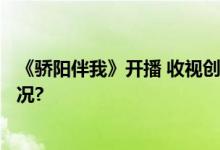 《骄阳伴我》开播 收视创5年来同日最高记录 具体是什么情况?