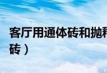 客厅用通体砖和抛釉砖（客厅通体砖还是抛光砖）