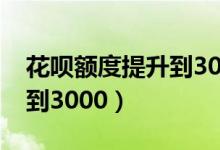 花呗额度提升到3000怎么办（花呗额度提升到3000）