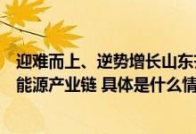 迎难而上、逆势增长山东齐融积极响应国家政策布局绿色新能源产业链 具体是什么情况?