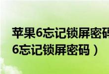 苹果6忘记锁屏密码怎么恢复出厂设置（苹果6忘记锁屏密码）