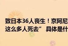 致日本36人丧生！京阿尼纵火案首次开庭他说“没想到会有这么多人死去” 具体是什么情况?