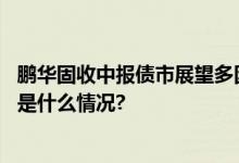 鹏华固收中报债市展望多因素有望酝酿债市做多的机会 具体是什么情况?