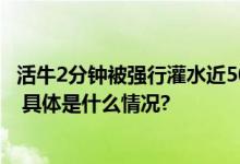 活牛2分钟被强行灌水近50升！东莞通报：5人已被警方控制 具体是什么情况?