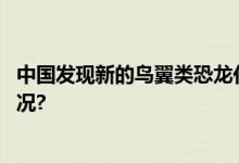 中国发现新的鸟翼类恐龙化石“奇异福建龙” 具体是什么情况?