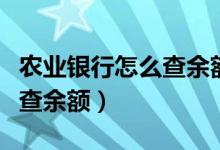 农业银行怎么查余额短信查询（农业银行怎么查余额）