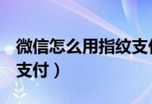 微信怎么用指纹支付oppo（微信怎么用指纹支付）