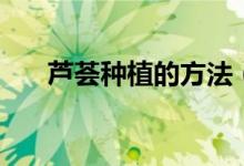 芦荟种植的方法（芦荟怎么种植方法）