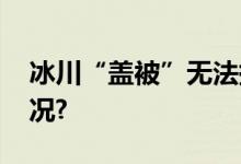 冰川“盖被”无法持续的试验 具体是什么情况?