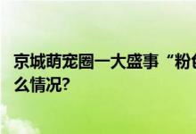 京城萌宠圈一大盛事“粉色沙滩宠物节”重磅开幕 具体是什么情况?