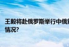 王毅将赴俄罗斯举行中俄第十八轮战略安全磋商 具体是什么情况?