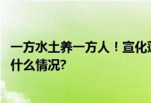 一方水土养一方人！宣化莲花葡萄小镇有千年古藤？ 具体是什么情况?