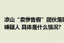 凉山“卖惨售假”团伙落网 警方控制“网红主播”等50余名嫌疑人 具体是什么情况?