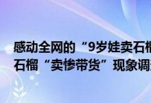 感动全网的“9岁娃卖石榴”为虚假摆拍视频 凉山、攀枝花石榴“卖惨带货”现象调查 具体是什么情况?