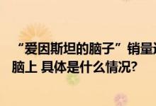 “爱因斯坦的脑子”销量近10万！店家：付款后自动长到大脑上 具体是什么情况?