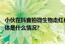 小伙在抖音拍微生物走红作品走入中学课堂、获央视点赞 具体是什么情况?