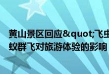 黄山景区回应"飞虫冲脸"：将采取措施降低蚂蚁群飞对旅游体验的影响 具体是什么情况?