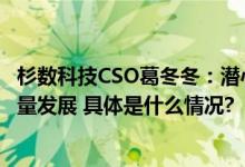 杉数科技CSO葛冬冬：潜心数学工业软件创新 服务产业高质量发展 具体是什么情况?