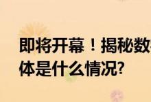 即将开幕！揭秘数字化开放平台大会亮点 具体是什么情况?