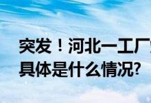 突发！河北一工厂爆燃火光燃成“蘑菇云” 具体是什么情况?