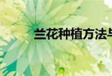 兰花种植方法与技巧（兰花种植）