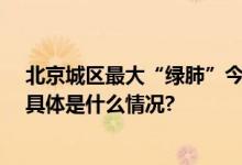 北京城区最大“绿肺”今天开启金秋节！附11项主题活动 具体是什么情况?