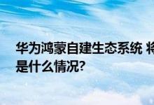 华为鸿蒙自建生态系统 将逐渐告别兼容安卓应用模式 具体是什么情况?