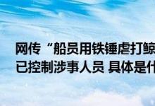 网传“船员用铁锤虐打鲸鲨头部后丢回海中”浙江海警局：已控制涉事人员 具体是什么情况?