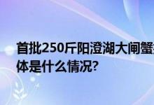 首批250斤阳澄湖大闸蟹抵京 首次采用AI点码防伪技术 具体是什么情况?