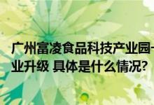 广州富凌食品科技产业园一期项目开工投产 合作发展推动产业升级 具体是什么情况?