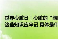 世界心脏日｜心脏的“阀门”坏了怎么办？关于心脏瓣膜病这些知识应牢记 具体是什么情况?