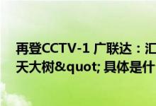 再登CCTV-1 广联达：汇聚全球力量建造数字化"参天大树" 具体是什么情况?