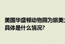 美国华盛顿动物园为旅美大熊猫举办“告别派对”系列活动 具体是什么情况?