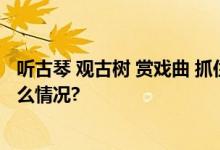 听古琴 观古树 赏戏曲 抓住假期“尾巴”拾趣园林 具体是什么情况?