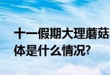 十一假期大理蘑菇车联自动驾驶车队走红 具体是什么情况?