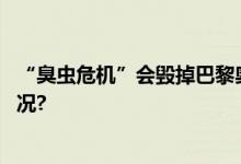 “臭虫危机”会毁掉巴黎奥运？法国人焦虑了 具体是什么情况?