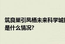 筑良巢引凤栖未来科学城能源互联网大厦落户未来中心 具体是什么情况?