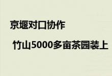 京堰对口协作| 竹山5000多亩茶园装上“智慧大脑” 具体是什么情况?