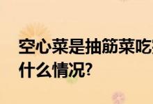 空心菜是抽筋菜吃完会抽筋？谣言！ 具体是什么情况?