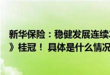 新华保险：稳健发展连续20年摘得《中国500最具价值品牌》桂冠！ 具体是什么情况?