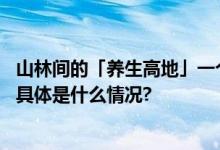 山林间的「养生高地」一个充满质感与温度的旅居康养社区 具体是什么情况?