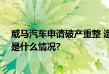 威马汽车申请破产重整 造车新势力优胜劣汰加速洗牌 具体是什么情况?