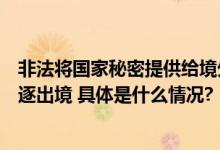 非法将国家秘密提供给境外机构澳籍人员成蕾服刑期满被驱逐出境 具体是什么情况?