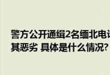 警方公开通缉2名缅北电诈集团头目：诈骗数额巨大性质极其恶劣 具体是什么情况?