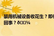 禁用机械设备收花生？即使“被误解”也该反思 到底是怎么回事？