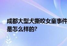 成都大型犬撕咬女童事件始末 狗主人仍在寻找中 具体情况是怎么样的?