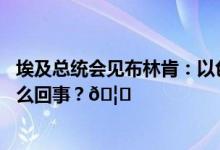 埃及总统会见布林肯：以色列的行动已超出自卫权 到底是怎么回事？