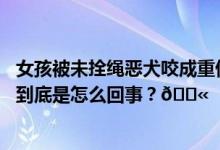 女孩被未拴绳恶犬咬成重伤！媒体：狗主人必须被绳之以法 到底是怎么回事？