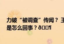 力破“被调查”传闻？ 王亚伟朋友圈今日已更新两条 到底是怎么回事？